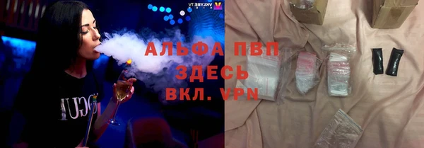 PSILOCYBIN Богородицк
