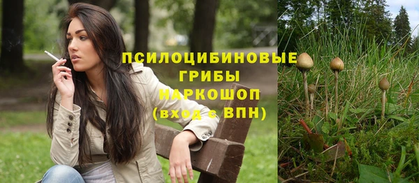 каннабис Корсаков