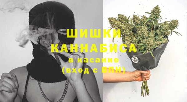 каннабис Корсаков